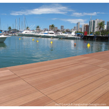 Decking creux composé qui respecte l&#39;environnement pour le plancher décoré extérieur (130 * 25mm)